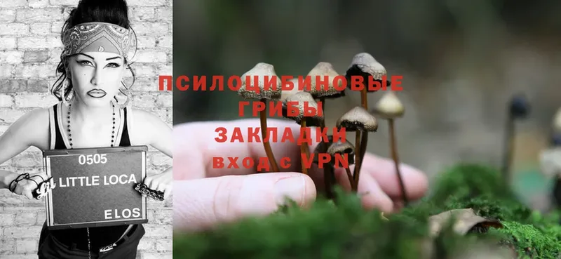 Псилоцибиновые грибы Magic Shrooms  hydra онион  Горячий Ключ 